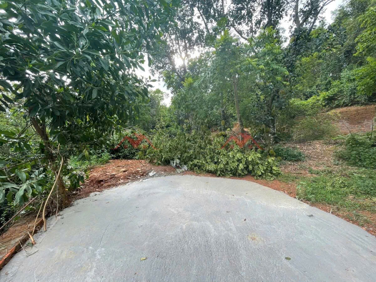 𝟏𝟐𝟔𝟕𝐦𝟐 𝐒𝐨̛𝐧 Đ𝐨̂̀𝐧𝐠 – 𝐓𝐢𝐞̂𝐧 𝐏𝐡𝐮̛𝐨̛𝐧𝐠 – 𝐂𝐡𝐮̛𝐨̛𝐧𝐠 𝐌𝐲̃ – 𝐇𝐚̀ 𝐍𝐨̣̂𝐢