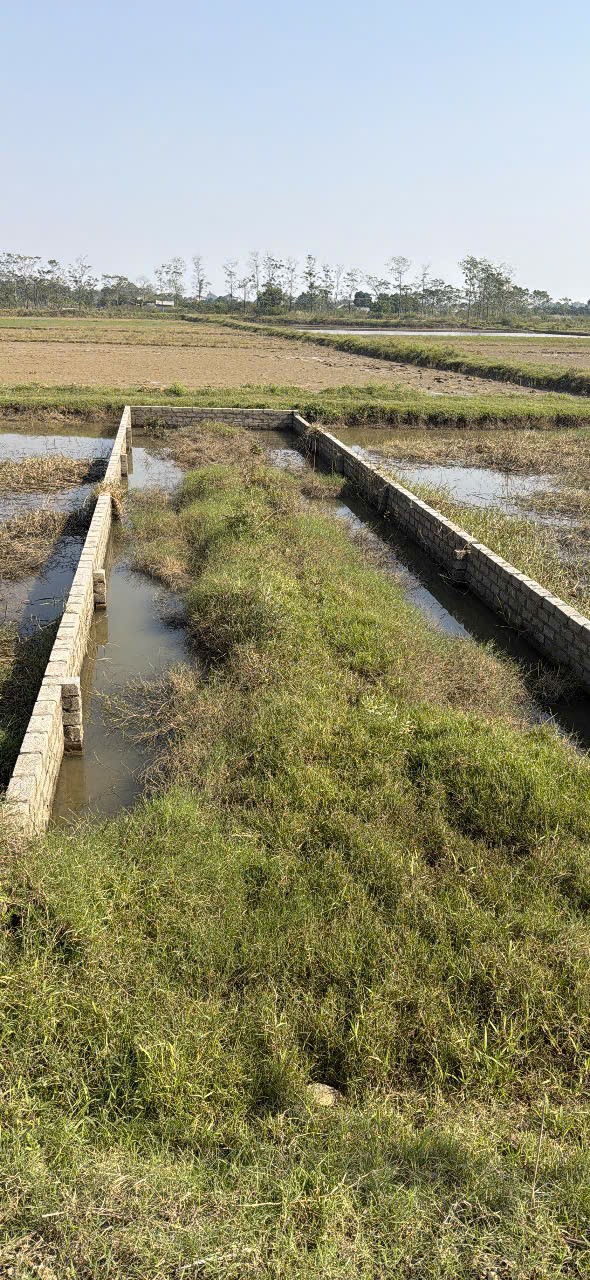 100 m Ở Khu Trũng Mét- Thuần Lương- Hoàng Văn Thụ- Chương Mỹ - Hà Nội.