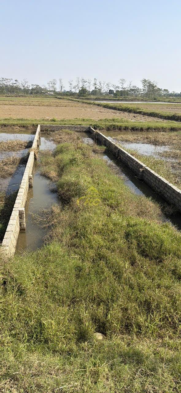 100 m Ở Khu Trũng Mét- Thuần Lương- Hoàng Văn Thụ- Chương Mỹ - Hà Nội. 100 m Ở Khu Trũng Mét- Thuần Lương- Hoàng Văn Thụ- Chương Mỹ - Hà Nội.