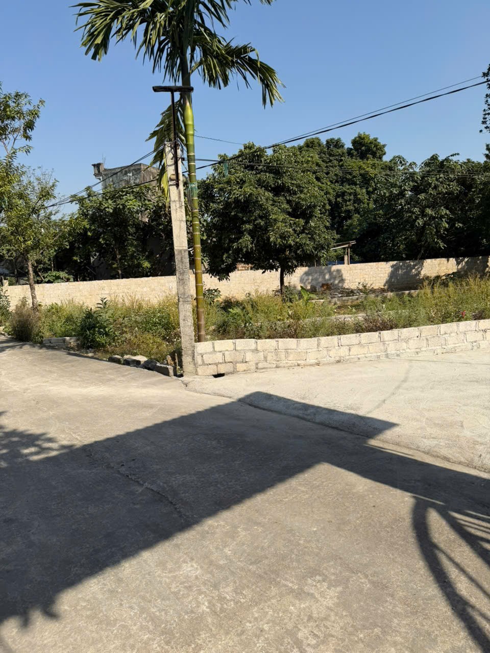 124.5 m và 106.9m Xóm Lộc Môn- Xã Liên Sơn- tỉnh Phú Thọ