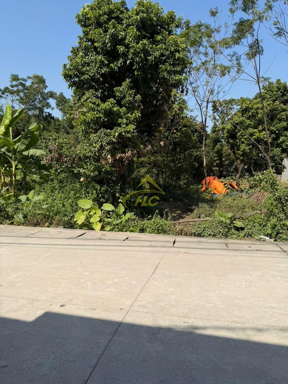 160m TẠI LỘC MÔN – TRUNG SƠN – LƯƠNG SƠN HÒA BÌNH 160m TẠI LỘC MÔN – TRUNG SƠN – LƯƠNG SƠN HÒA BÌNH