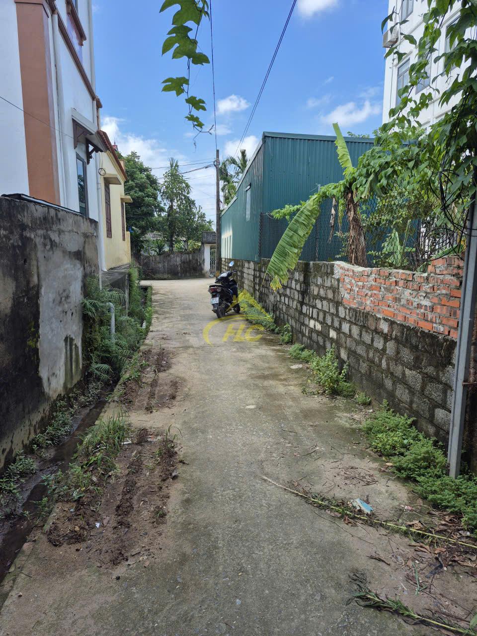 51m Đất tại Phương Bản, Phụng Châu 51m Đất tại Phương Bản, Phụng Châu