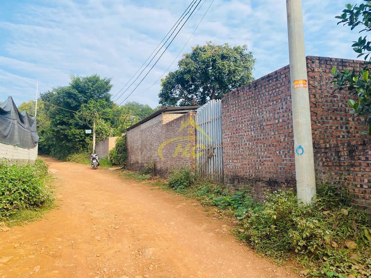 Hàng F0 Mới Ra Lò Tại Đồi Họa Sỹ Tiên Phương Hàng F0 Mới Ra Lò Tại Đồi Họa Sỹ Tiên Phương