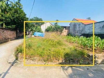 40m Siêu Phẩm Thụy Hương, Chương Mỹ