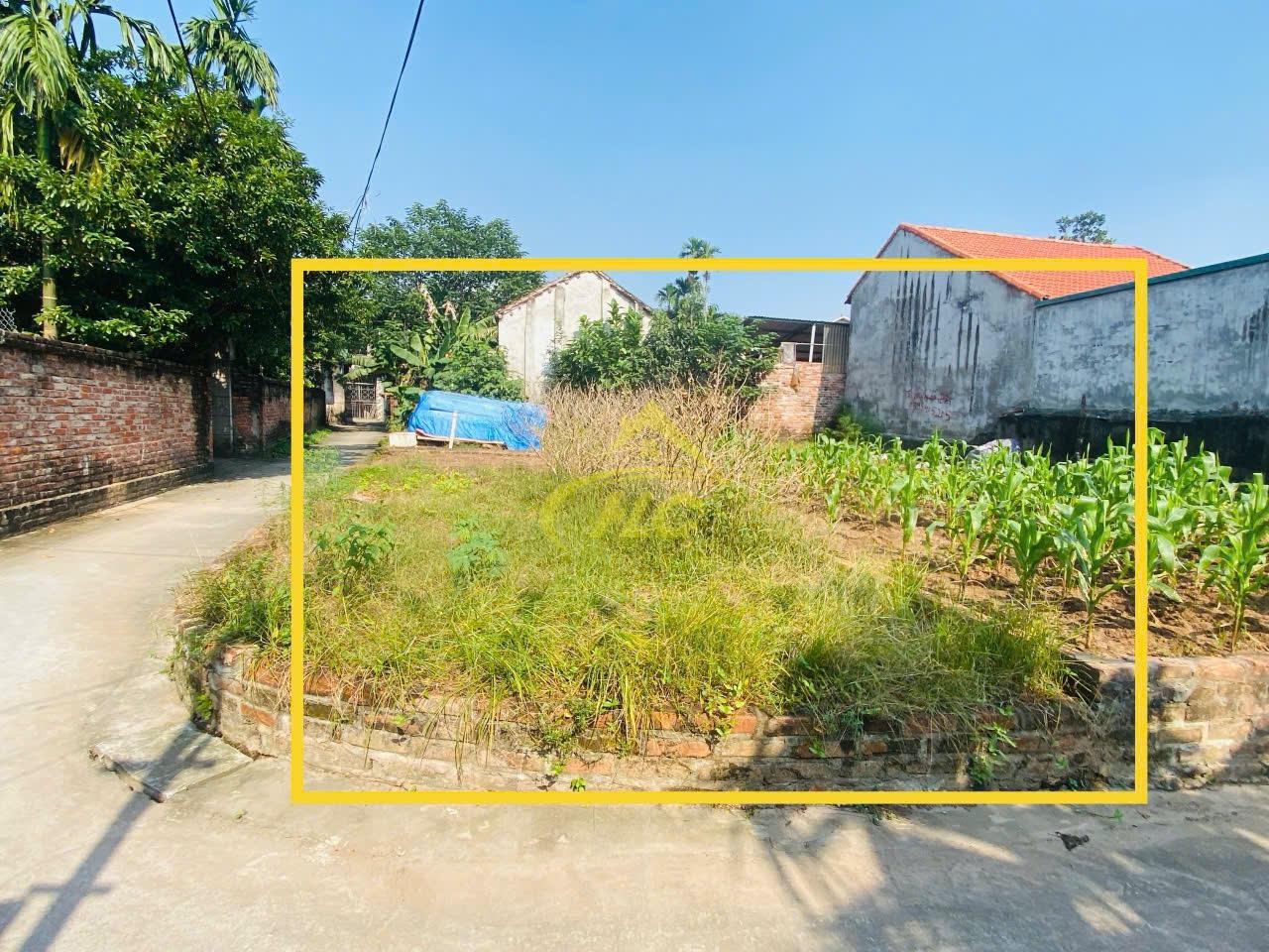 40m Siêu Phẩm Thụy Hương, Chương Mỹ 40m Siêu Phẩm Thụy Hương, Chương Mỹ
