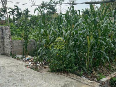 BÁN LÔ ĐẤT ĐẸP ĐÔNG TIẾN – TÂN TIẾN