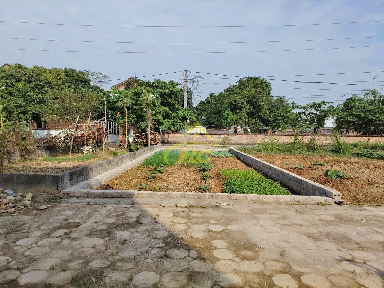 BÁN LÔ ĐẤT KIẾN TRÚC – SÁT HỒ CHÍ MINH, ĐỐI DIỆN HỒ VĂN SƠN BÁN LÔ ĐẤT KIẾN TRÚC – SÁT HỒ CHÍ MINH, ĐỐI DIỆN HỒ VĂN SƠN