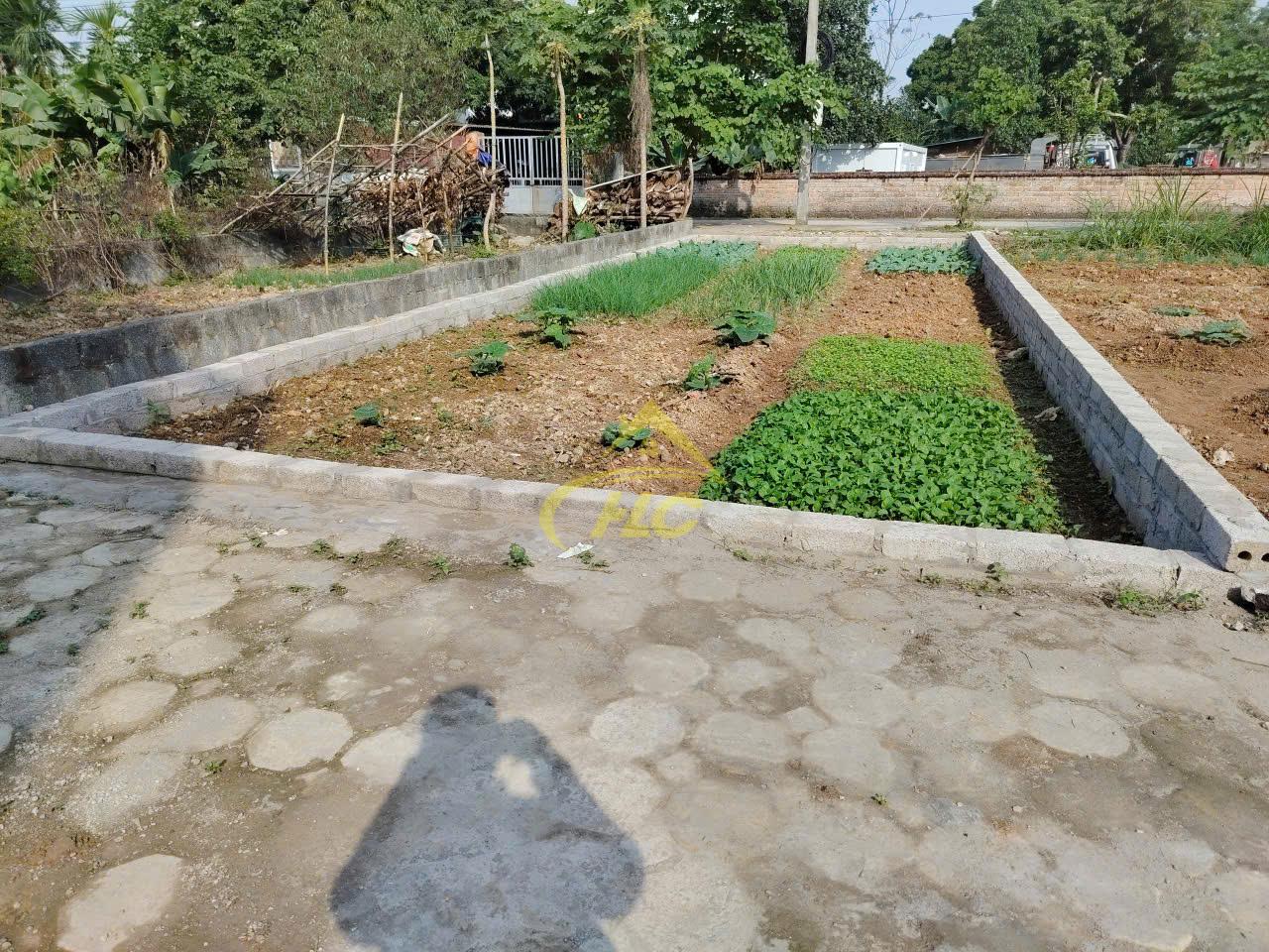 BÁN LÔ ĐẤT KIẾN TRÚC – SÁT HỒ CHÍ MINH, ĐỐI DIỆN HỒ VĂN SƠN BÁN LÔ ĐẤT KIẾN TRÚC – SÁT HỒ CHÍ MINH, ĐỐI DIỆN HỒ VĂN SƠN