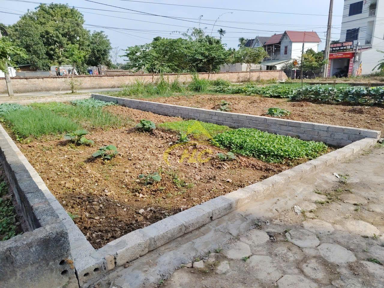 BÁN LÔ ĐẤT KIẾN TRÚC – SÁT HỒ CHÍ MINH, ĐỐI DIỆN HỒ VĂN SƠN BÁN LÔ ĐẤT KIẾN TRÚC – SÁT HỒ CHÍ MINH, ĐỐI DIỆN HỒ VĂN SƠN