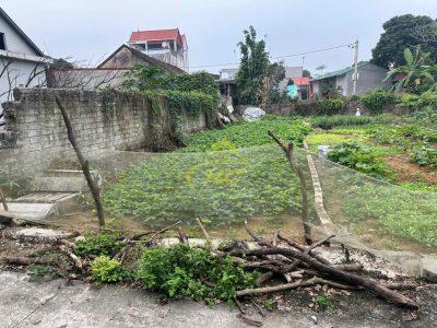 Lô Đất 106,6m Đồng Mít, Mỹ Đức