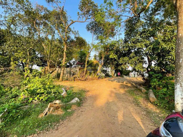 950m Đất Đẹp Tại Tiên Phương, Chương Mỹ 950m Đất Đẹp Tại Tiên Phương, Chương Mỹ
