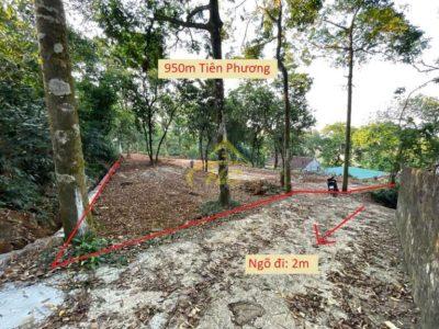 950m Đất Đẹp Tại Tiên Phương, Chương Mỹ