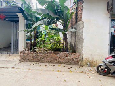 Lô Đất 60m Long Châu, Phụng Châu