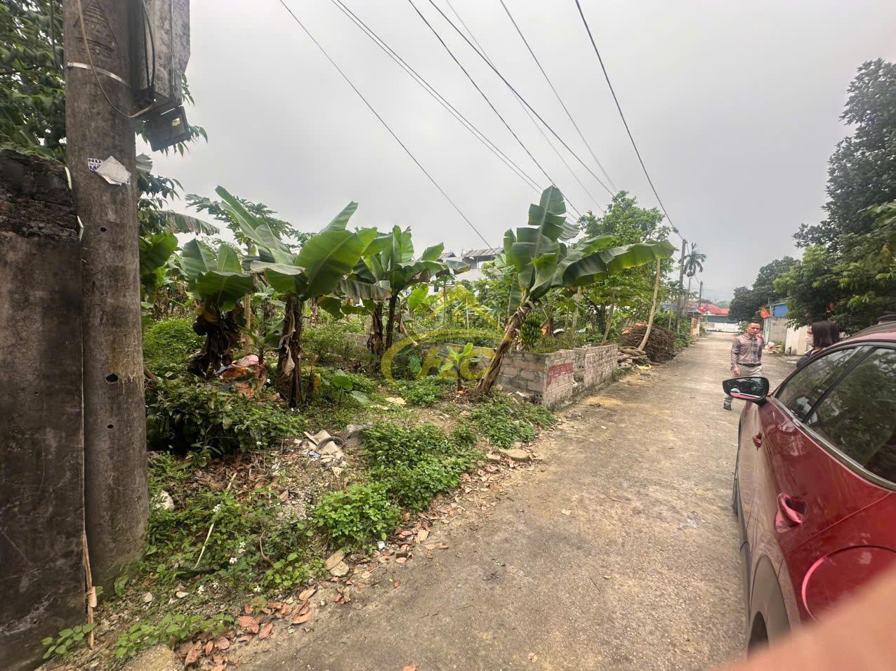 Lô Vuông 120m Hoàng Văn Thụ, Chương Mỹ Lô Vuông 120m Hoàng Văn Thụ, Chương Mỹ