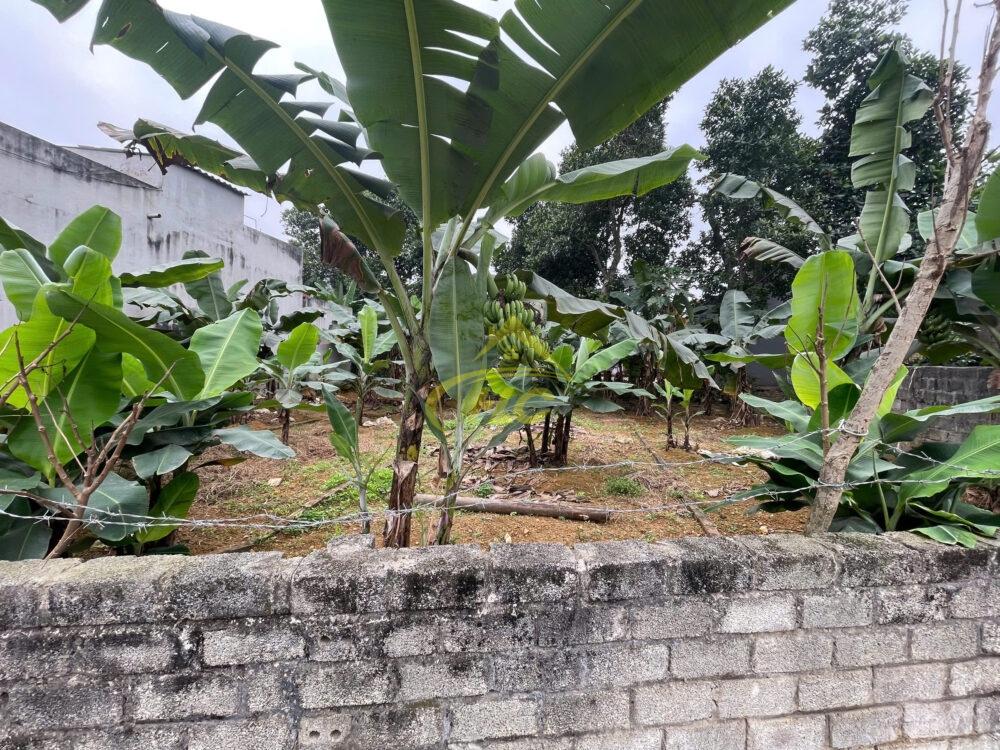 💥 BÁN ĐẤT ĐẸP 46,8M THÔN CÔNG AN – HOÀNG VĂN THỤ 💥 💥 BÁN ĐẤT ĐẸP 46,8M THÔN CÔNG AN – HOÀNG VĂN THỤ 💥