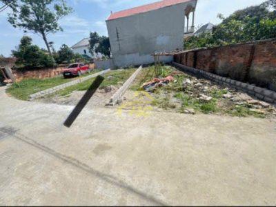 💥 BÁN LÔ ĐẤT ĐẸP 80,3M ĐỒI CHÈ – THANH BÌNH, CHƯƠNG MỸ  💥