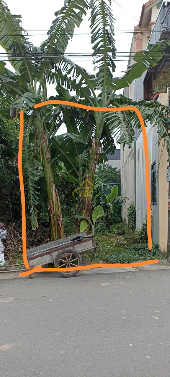💥 102M ĐẤT TẠI HỒNG PHONG, CHƯƠNG MỸ – MẶT ĐƯỜNG LIÊN THÔN 💥 💥 102M ĐẤT TẠI HỒNG PHONG, CHƯƠNG MỸ – MẶT ĐƯỜNG LIÊN THÔN 💥