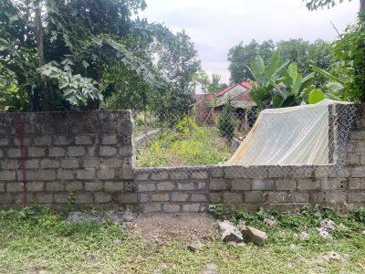 💥 LÔ ĐẤT 100M² GIÁ HƠN 1 TỶ – LIÊN SƠN, PHÚ THỌ (HÒA BÌNH CŨ) 💥