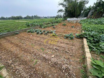 💥 LÔ ĐẤT ĐẸP 119M² – MẶT TIỀN RỘNG – GIÁ HƠN 1 TỶ TẠI HOÀNG VĂN THỤ 💥