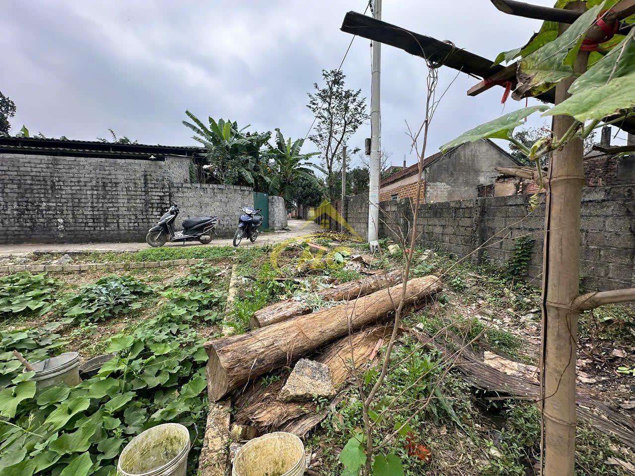 💥 LÔ ĐẤT ĐẸP 119M² – MẶT TIỀN RỘNG – GIÁ HƠN 1 TỶ TẠI HOÀNG VĂN THỤ 💥 💥 LÔ ĐẤT ĐẸP 119M² – MẶT TIỀN RỘNG – GIÁ HƠN 1 TỶ TẠI HOÀNG VĂN THỤ 💥