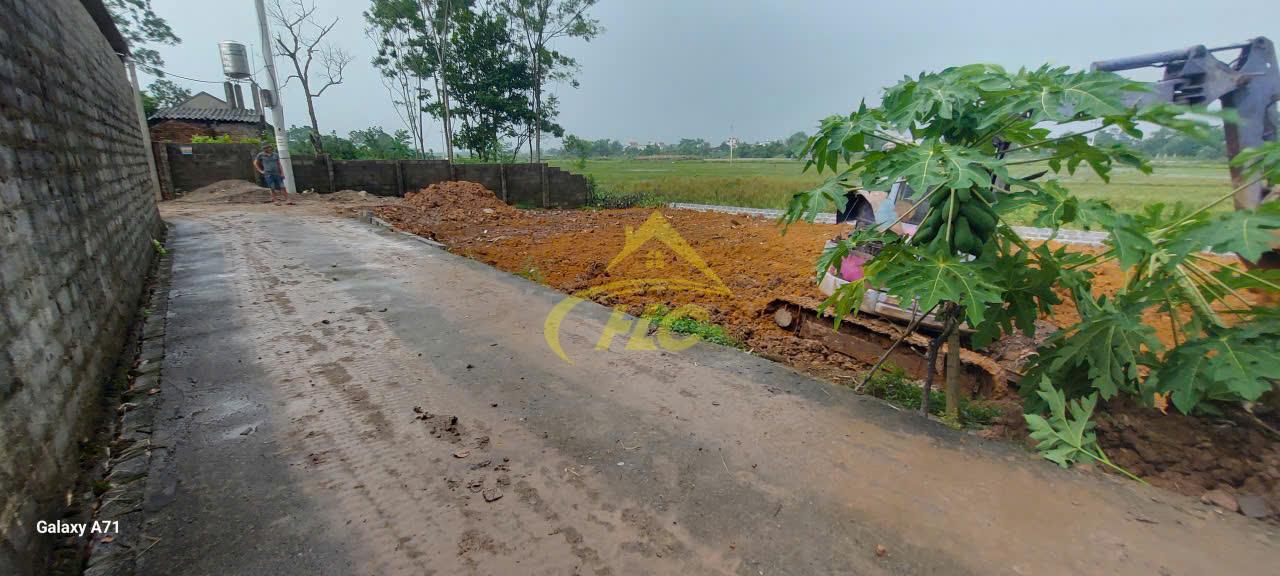 💥 LÔ ĐẤT ĐẸP 119M² – MẶT TIỀN RỘNG – GIÁ HƠN 1 TỶ TẠI HOÀNG VĂN THỤ 💥 💥 LÔ ĐẤT ĐẸP 119M² – MẶT TIỀN RỘNG – GIÁ HƠN 1 TỶ TẠI HOÀNG VĂN THỤ 💥
