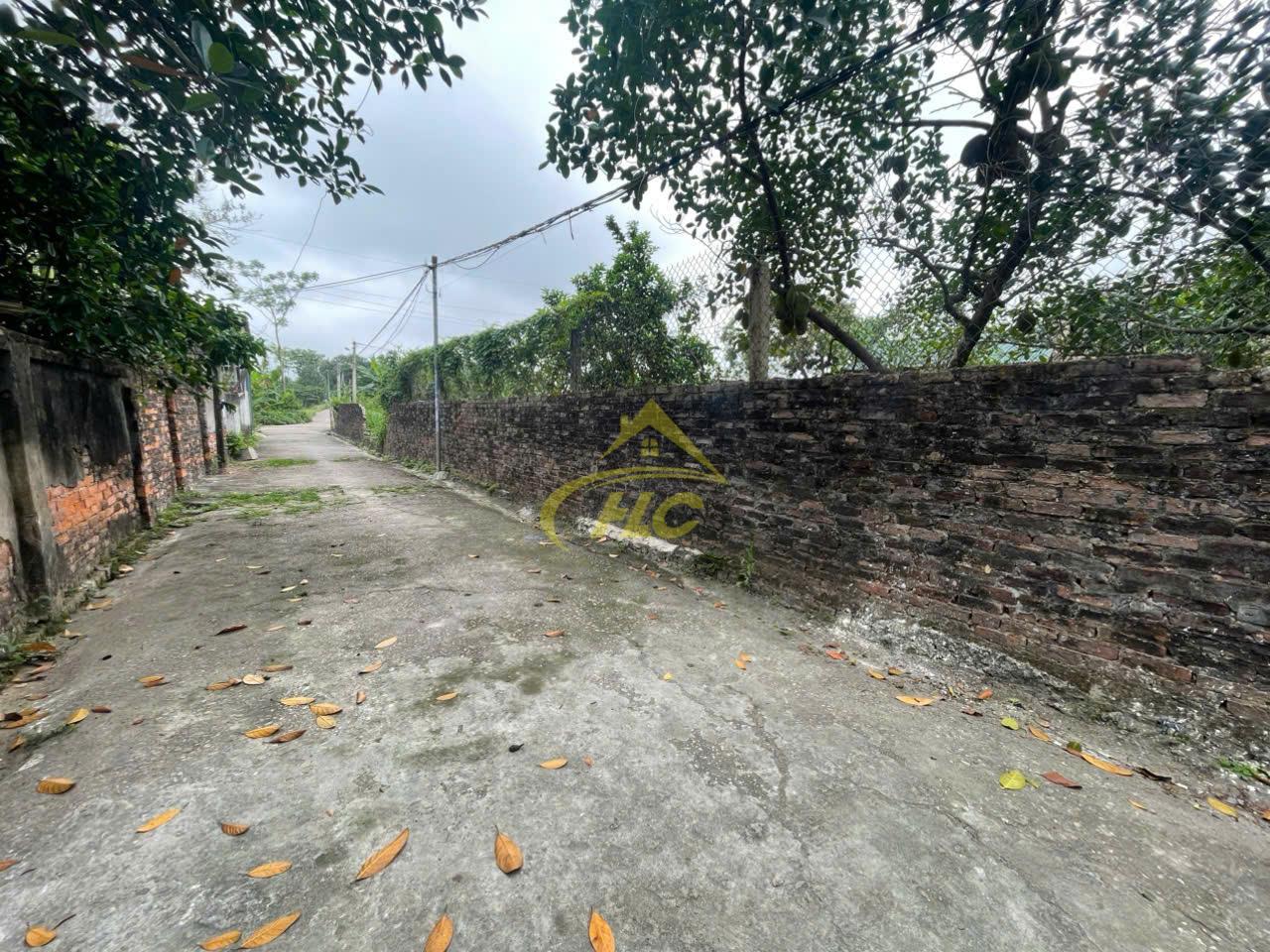 💥 LÔ ĐẤT ĐẸP 65,5M² ĐOÀN KẾT – ĐẠI YÊN, CHƯƠNG MỸ | GIÁ 2,5 – 3 TỶ 💥 💥 LÔ ĐẤT ĐẸP 65,5M² ĐOÀN KẾT – ĐẠI YÊN, CHƯƠNG MỸ | GIÁ 2,5 – 3 TỶ 💥