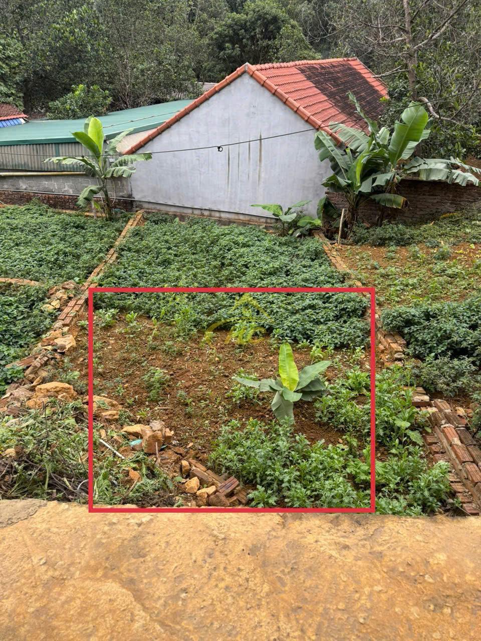 💥 SIÊU PHẨM ĐẤT 45M SƠN ĐỒNG – TIÊN PHƯƠNG, GIÁ HƠN 1 TỶ, ĐẦU TƯ HOẶC Ở ĐỀU ĐẸP 💥 💥 SIÊU PHẨM ĐẤT 45M SƠN ĐỒNG – TIÊN PHƯƠNG, GIÁ HƠN 1 TỶ, ĐẦU TƯ HOẶC Ở ĐỀU ĐẸP 💥